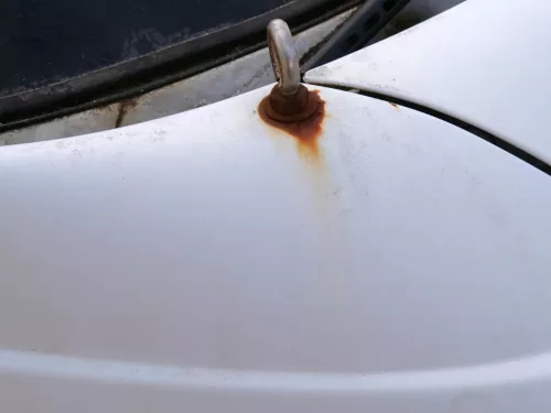 VW T4 kurze Version Kotflügel vorne rechts weiß R902 7D0821104B (186812)
