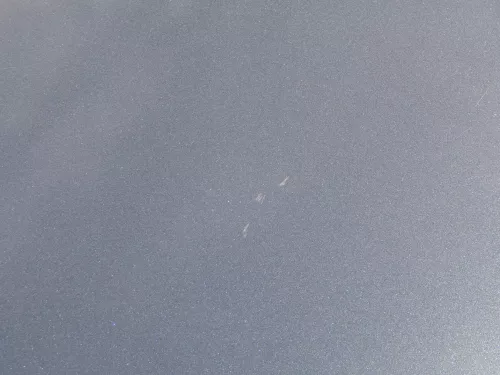 Audi A6 4F Motorhaube Klappe vorn (bis ca. Anfang Bj. 2011) grau LZ7S (187010)