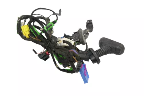 Audi A6 4F Kabelbaum Tür Türkabelbaum ZV vorme links Fahrertür 4F1971029AF BOSE