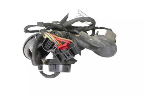 A6 4F Kabelbaum Tür Türkabelbaum ZV hinten links 4F1971687N 4F1971687A  BOSE