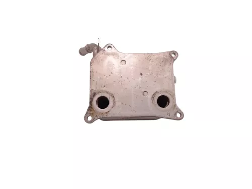 Audi A6 4F Ölkühler Halter Kühlker Öl 079117015A BVJ 4,2 8 Zylinder ## (187161)