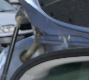 Skdoa Roomster 5J Kabelbaum hinten für Heckklappe