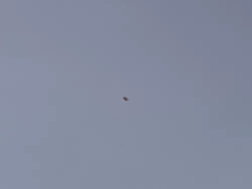 Audi A3 8P Motorhaube Haube Klappe vorn vorne braun grau LY7J 2/3-Türer (187456)