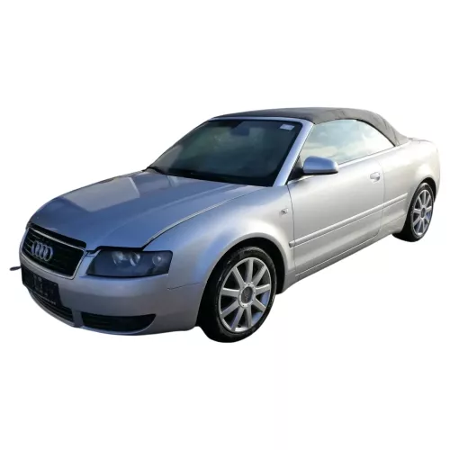 Audi 8H Cabrio A4 B6 B7 Kabelbaum Tür Türkabelbaum ZV vorne links 8H1971029AL